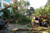 3 injured as huge tree rolls over autorickshaw at Pandeshwar